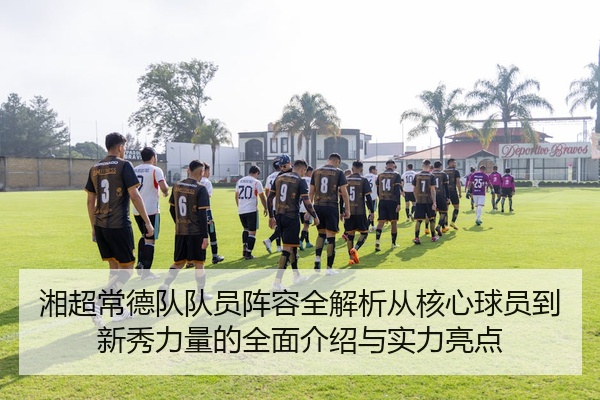 湘超常德队队员阵容全解析从核心球员到新秀力量的全面介绍与实力亮点